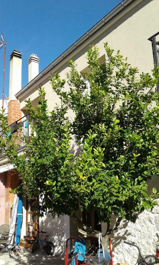 Wolverine Residence Zadar Exterior foto